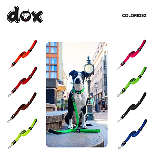DDOXX Correa Perro Air Mesh, Acolchado, Lazo de Mano, 120 cm | Muchos Colores & Tamaños | para Perros Pequeño, Mediano y Grande | Accesorios Gato Cachorro | Amarillo, M