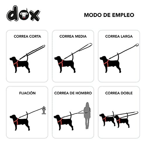 DDOXX Correa Perro de Nailon, Ajustable en 3 Direcciones, 2 m | Correas para Perros Grandes y Pequeños | Correa Doble para Perros, Gatos, Cachorros | Correa para Correr | Naranja, M