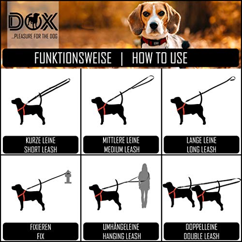 DDOXX Correa Perro Multiposición Nylon Reflectante, Ajustable en 3 tamaños, 2 m | Muchos Colores & Tamaños | para Perros Pequeño, Mediano y Grande | Correa Doble 2 Gato Cachorro | S, Amarillo