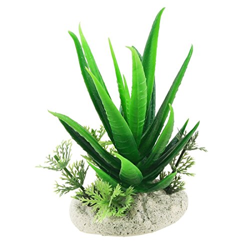 DealMux 3 De delige Plastic Acuario gesimu leerde planten, 4.3 pulgadas, aloë Vera Green