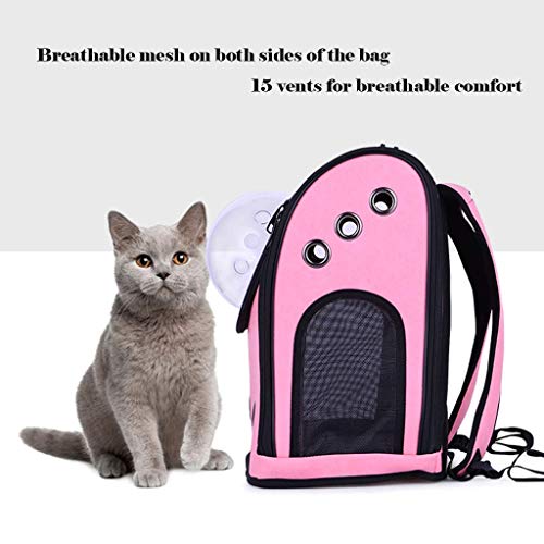 DERUKK-TY Cochecito de perro rosa plegable para perros pequeños y medianos gatos de 4 ruedas, barato cochecito de mascotas cochecito de viaje suministros para mascotas, hasta 10 kg