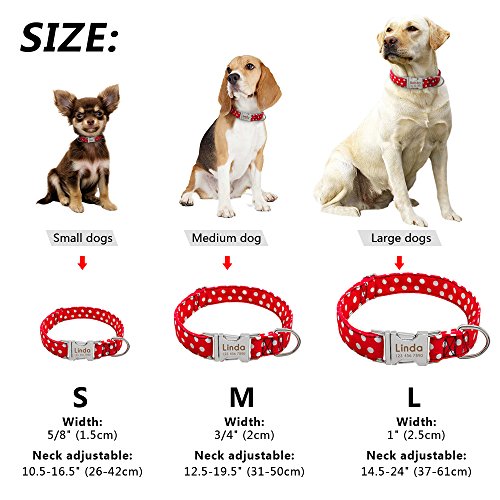 Didog - Collar de perro con grabado personalizable, nailon suave con hebilla de liberación rápida de acero inoxidable, collar de perro con placa de identificación, para perros pequeños y medianos