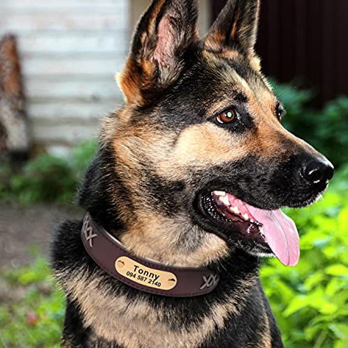 Didog - Collar para Perro de Cuero Personalizado, Collar para Mascotas con Placa de identificación de latón Personalizado con Acolchado Suave y Trenzado