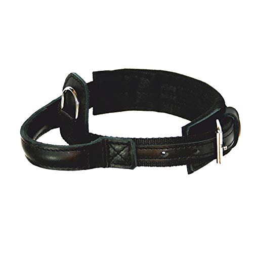 Dingo Gear 1977 Hero - Collar para Perro (Polipropileno, Mango Fuerte, Ajustable, 300 g), Color Negro