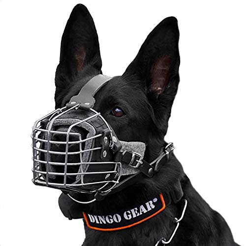 Dingo Gear S03004 - Bozal de Entrenamiento para Perros de Trabajo
