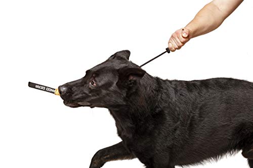 Dingo Gear S04058 - Collar para Entrenamiento de Perros, Hecho a Mano con limitador, Resistente al Agua, Color Negro