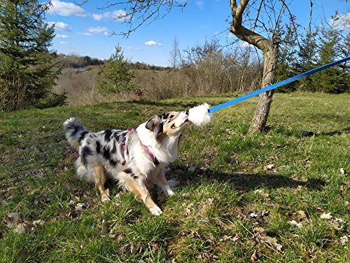 DINGO - Juguete para perro - cazador de piel de oveja con plomo azul largo 130 cm, arrastrador de recompensa motivación agilidad para entrenamiento y diversión 15583