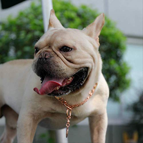 Diseño Dominante Collar Perro Petchain 11-15mm Collar De Acero Inoxidable Collar De Oro Rosa Pitbull Bulldog Accesorios para Mascotas 11mmX40cm