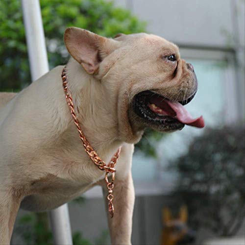 Diseño Dominante Collar Perro Petchain 11-15mm Collar De Acero Inoxidable Collar De Oro Rosa Pitbull Bulldog Accesorios para Mascotas 11mmX40cm