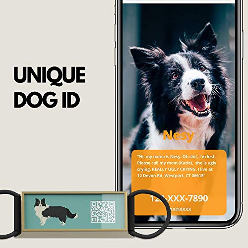DISONTAG Placas para Perros,Placa para Perros Personalizadas,Placas para Mascotas,Placa De Identificacion Perros,18 Patrones Realistas, Pantalla De Información única | Modificable
