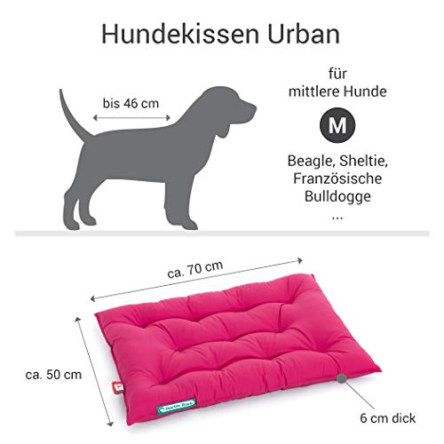 Doctor Bark Cojín para perros Urban – Cama ortopédica para perros – Lavable hasta 95 °C – Robusto para interior – Colchón para perros – Fabricado en Alemania (M – 70 x 50 cm, rosa caliente)