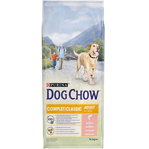 Dog Chow - Alimento completo clásico con salmón para perro