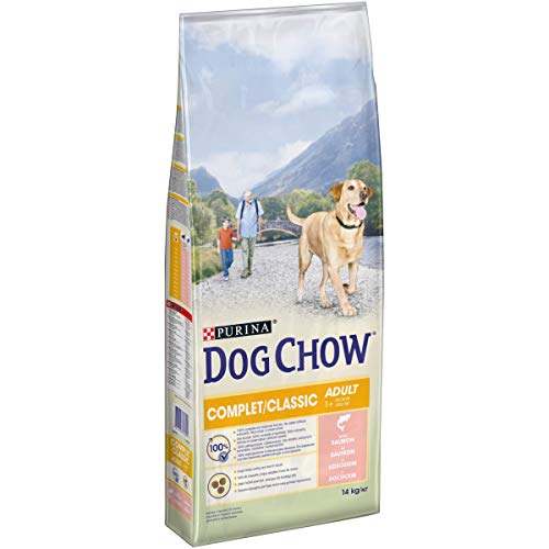 Dog Chow - Alimento completo clásico con salmón para perro
