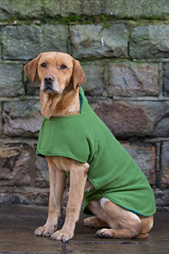 Dog & Field Duel Layer - Abrigo de Toalla (Talla XXL), Color Verde Claro