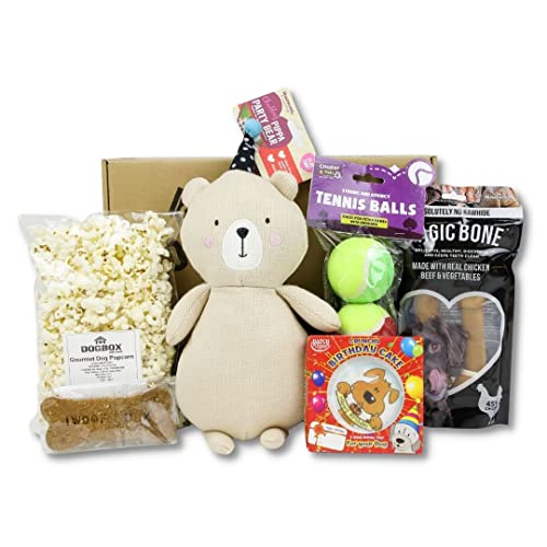 DogBox Boutique La caja de regalo para perros de cumpleaños, ideal para cumpleaños, Navidad o un regalo mensual – Golosinas para perros, juguetes y accesorios