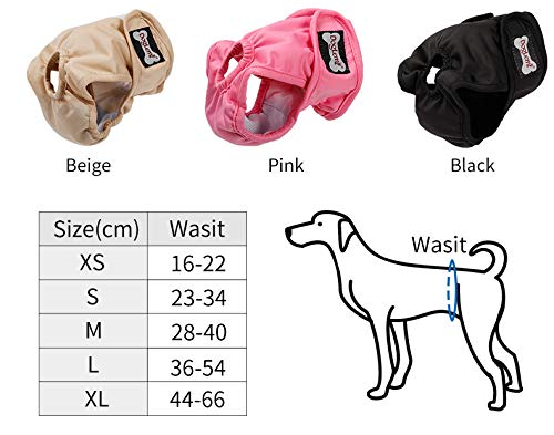Doglemi Pañales lavables para perros y mujeres [3 unidades], bragas higiénicas para perros en calor, 5 tamaños disponibles (L: 36-54cm)