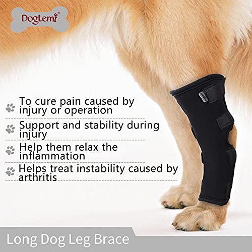 Doglemi Perro Hock Brace pierna trasera mascota rodillera vendaje protector prevenir perros lamiendo heridas alivio del dolor, cuidado de las articulaciones suministros de salud canina