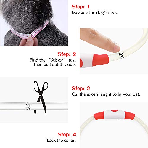 Domi Collares para Perro Luces LED Brillantes – USB Recargable Intermitente Collares para Mascotas para Mantener a Tus Perros ser vistos y Estar Seguros, tamaño Ajustable, de TPU con luz