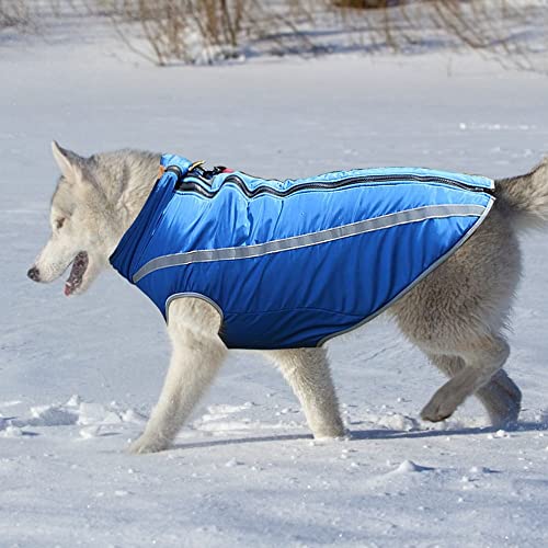 DONGKER - Sudadera con capucha para perros, perros, cachorros, sudaderas con capucha, impermeable, cálido, abrigo para animales de compañía