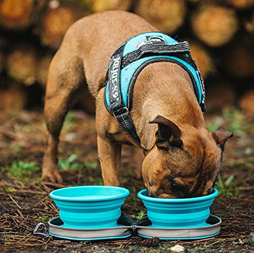 Dos tazones plegables para perros - Tazón de agua para perros - Tazón plegable con estuche de viaje - Azul