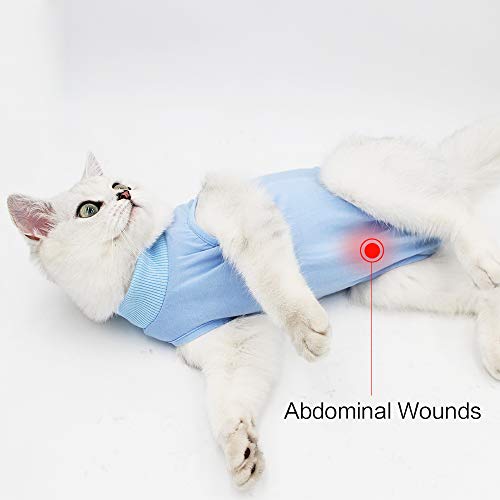 Dotoner Gatos Traje de recuperación Profesional para heridas Abdominales o Enfermedades de la Piel Alternativo para Gatos y Perros después de la cirugía Ropa para el hogar(Azul,m)