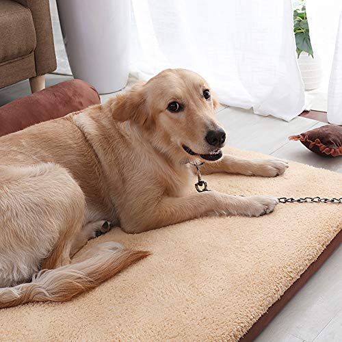 DUCHEN Cama ortopédica de espuma viscoelástica para perros con funda extraíble y lavable, cómoda para perros grandes, cesta antideslizante
