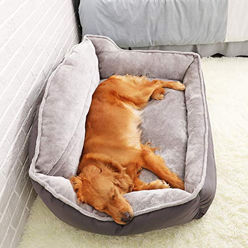 Duchen - Cama ortopédica para perro, tamaño grande, sofá cama para perro, almohada para perro, terciopelo suave, cama relajante y cómodo para dormir, colchón para perro grande Golden Retriever