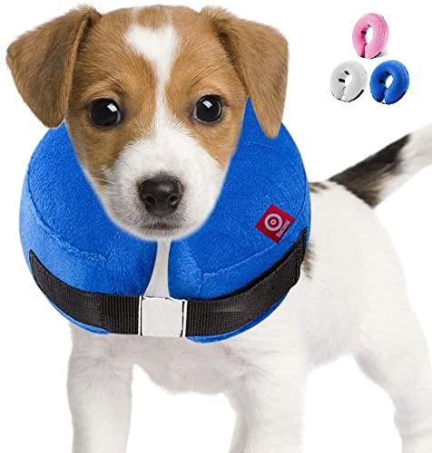 Ducomi Inflable Collar Isabelino Perro o Gato – Cono de Cuello Ajustable para Mascotas Recuperación de Cirugía o Heridas - Previene la Infección por Arañazos y Picaduras