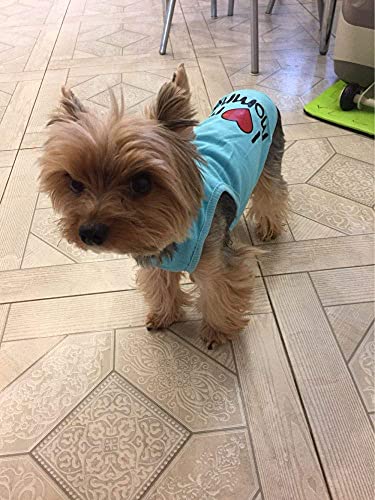 Ducomi Pets Love - Camiseta para perro y gato de algodón - Camiseta de verano para perros de pequeño y mediano tamaño y cachorros - Ropa suéter chihuahua, caniche y cachorros (XS, Mommy Blue)