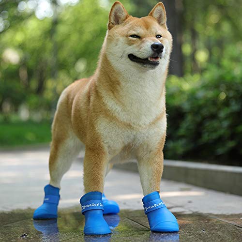Ducomi Zampette - Zapatillas Impermeables para Perros - Cómodas y Fáciles de Poner - Protegen Las Patas de tu Mascota - Reducen el Riesgo de Infecciones en Caso de Heridas (S, Azul)