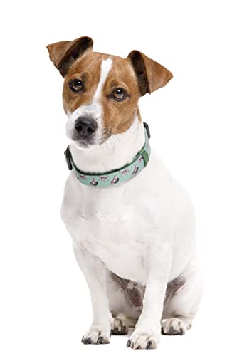 DUKIER - Collar para Perros, Regulable, Ajustable, Accesorio Mascotas, Neopreno, Resistente, Leopard, Talla S