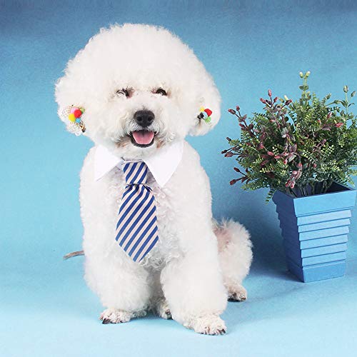 DULEE Accesorio para mascotas, corbata para perro, pajarita y gato, color azul y gris, talla L