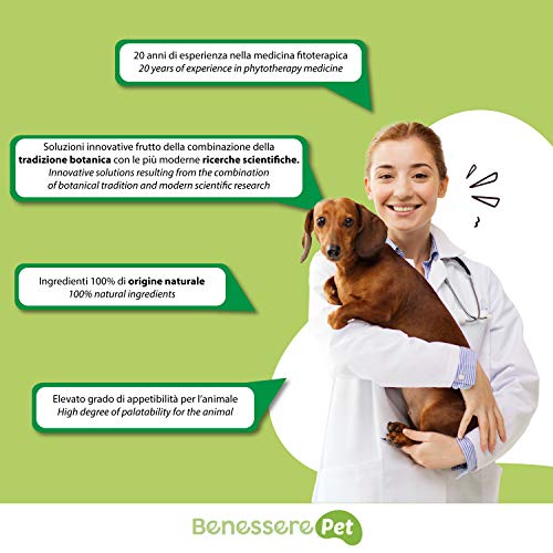 DYNAMOPET BenesserePet Puppy Complemento alimenticio para Cachorros 100gr, promueve el Crecimiento equilibrado de Perros y Gatos Cachorros, complemento para Huesos y articulaciones Fuertes