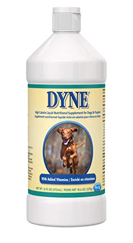 Dyne - Líquido para ganar de calorías y peso para perros, 473 ml