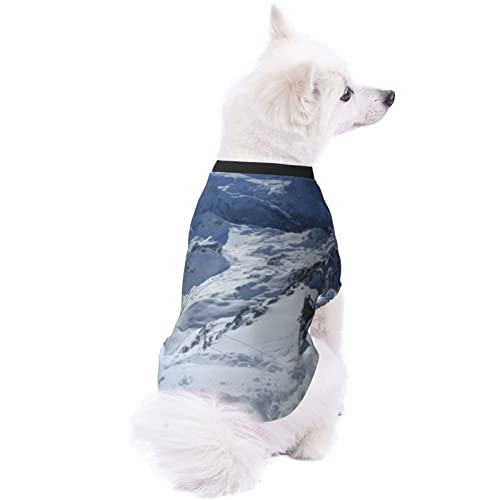EDJKEJYCO Ropa aislada para perros de montaña blanca como la nieve, pijamas para perros pequeños, medianos y grandes, gatos