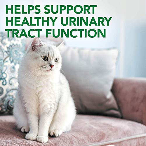 El mejor tracto urinario para gatos Vet's Best soporta suplementos para gatos | Apoya el tracto urinario saludable Cat A | 60 tabletas masticables
