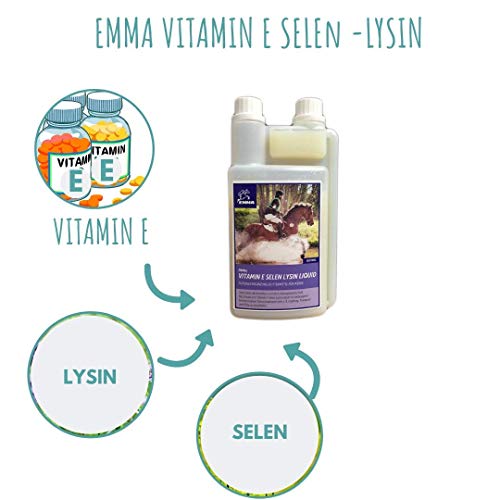 EMMA Vitamina E Selenio Lisina para Caballos I Conjunto económico I Músculo y metabolismo I más aminoácidos Booster 30 ml + 1 L