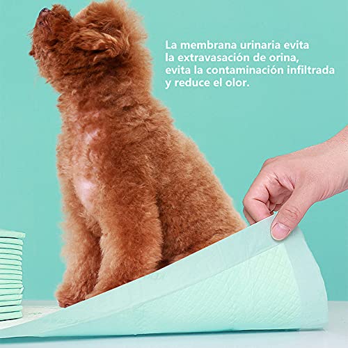 Empapadores Perro Super-absorbentes, Almohadillas para la incontinencia (M 40X50CM 30PCS, Blanco)