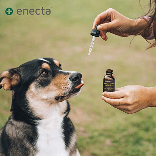 Enecta Premium Hemp Oil for Pets 500 - Aceite de Cáñamo Rico en Omega 3-6 para el Cuidado de Mascotas (10ml)