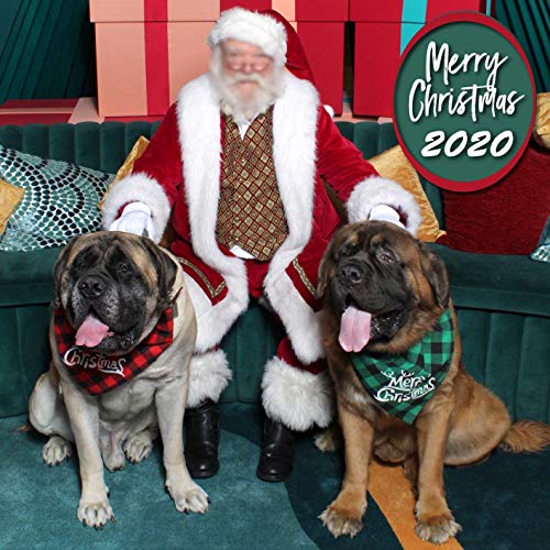 ENTHUR Bandana de perro de Navidad clásica Buffalo Plaid Mascotas Bufanda Triángulo Baberos Pañuelo Set de accesorios de disfraz de mascota Decoración para perros pequeños