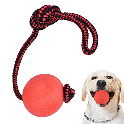 Enzege 3 pcs Pelota con Cuerda, Mascota Productos de Goma, Juguete de adiestramiento para Perro