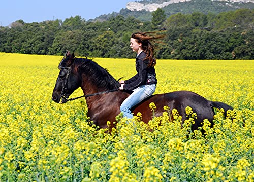 Equine Synergy Espirulina de alta potencia 500 g para caballos y caballos, 100% pura con más de 2000 vitaminas, minerales y nutrientes para mejorar la salud y reforzar el sistema inmunológico