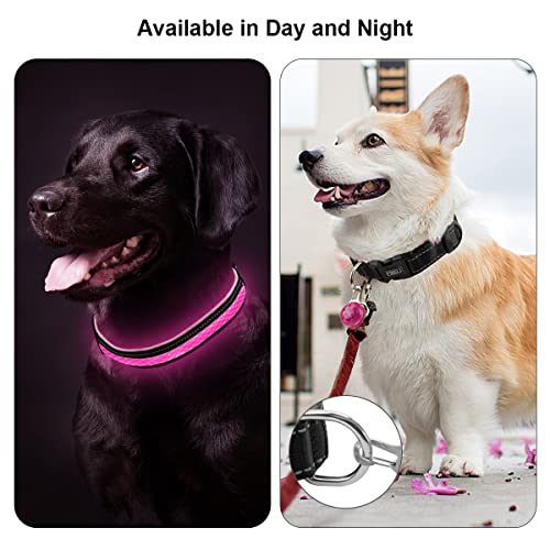ETACCU Collar de Perro LED, Collar de Perros Ajustable con 3 Modos y 7 Colores, Collar Luminoso Impermeable Recargable por USB, Collares Básicos para Mascotas (Mediano (40-55cm), Rosa)