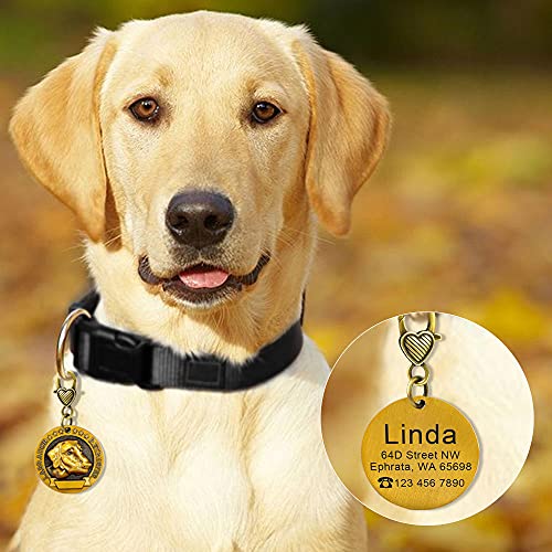 Etiqueta de identificación de perro personalizada de metal revestido de cobre grabado con nombre de perro grande accesorios para mascotas de Labrador-Doberman-M