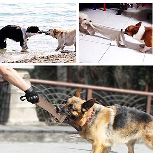 Eurobuy Juguete de juguete para mordedura de perro, juguetes duraderos para masticar perros con 2 asas de cuerda, juguete de entrenamiento interactivo para perros medianos y grandes