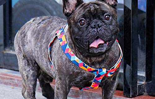 Everking Arnés ajustable para perros pequeños, medianos y grandes, transpirable, con cierre de metal, multicolor, Small, 0202-9