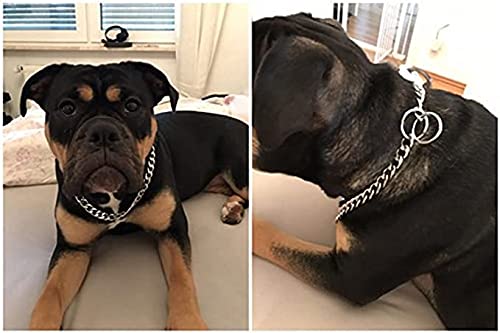 EVTSCAN Collar de adiestramiento para Perros con Cadena, 3 tamaños, Nueva Cadena de Serpiente de Metal Dorado/Negro, Collar de adiestramiento para Perros, gargantillas Negras(3mm*40cm -Negro)