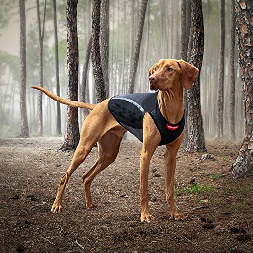EzyDog Thermax - Abrigo térmico para perros (elástico, ajustado, reflectante, talla XS, color negro)