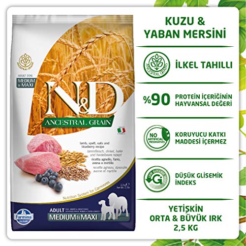 Farmina Natural & Delicious Ancestral Grain Cordero & Blueberry Adult Medium & Maxi Dog Food 5.5 lb