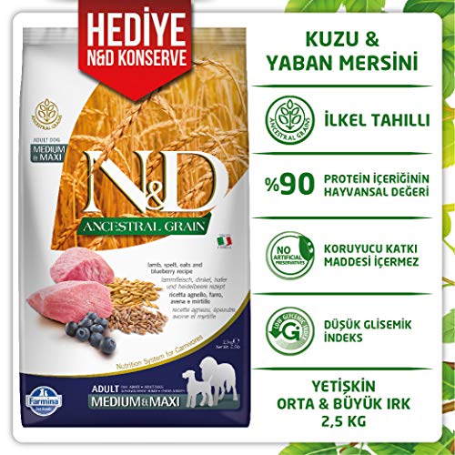 Farmina Natural & Delicious Ancestral Grain Cordero & Blueberry Adult Medium & Maxi Dog Food 5.5 lb